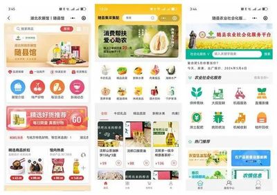 “五個以”實踐體系的隨縣答卷 | 強“鏈條”通“經絡”--奮力打造城鄉供應鏈一體化平臺的“隨縣實踐”